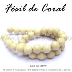 Fósil de coral, bola lisa 10mm