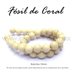 Fósil de coral, bola lisa 10mm