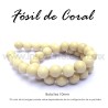 Fósil de coral, bola lisa 10mm
