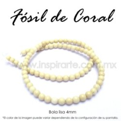 Fósil de coral, bola lisa 4mm
