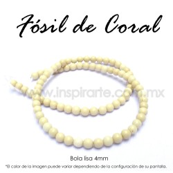 Fósil de coral, bola lisa 4mm
