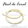 Fósil de coral, bola lisa 4mm