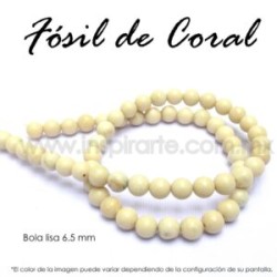 Fósil de coral, bola lisa 6.5mm