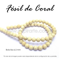 Fósil de coral, bola lisa 6.5mm