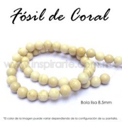 Fósil de coral, bola lisa 8.5mm