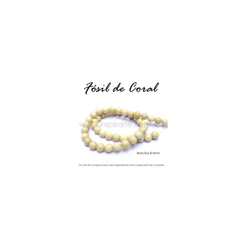 Fósil de coral, bola lisa 8.5mm