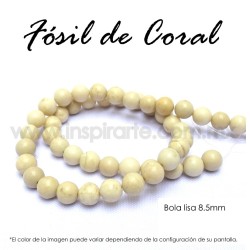 Fósil de coral, bola lisa 8.5mm